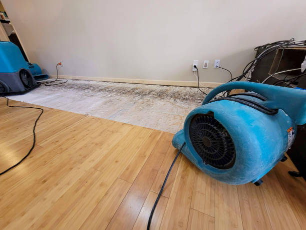 Professional Sewage Cleanup technician working in Alvarado, TX